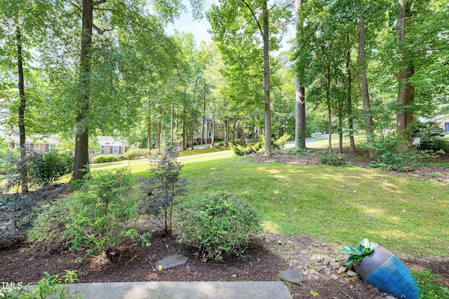 1416 Bramble Dr, Durham, NC 27712 - view of grassy yard