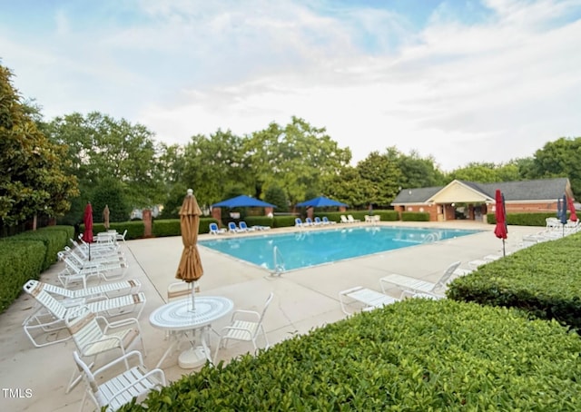 1911 Falls Landing Dr Unit 103, Raleigh, NC 27614 - community pool featuring a patio and view of wooded area