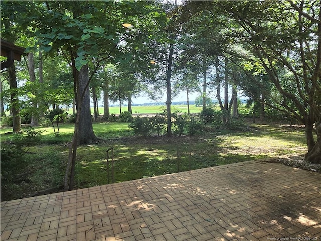 562 Loblolly Dr, Vass, NC 28394 - photo 3