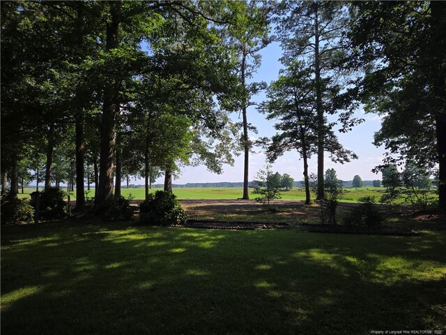 562 Loblolly Dr, Vass, NC 28394 - photo 9