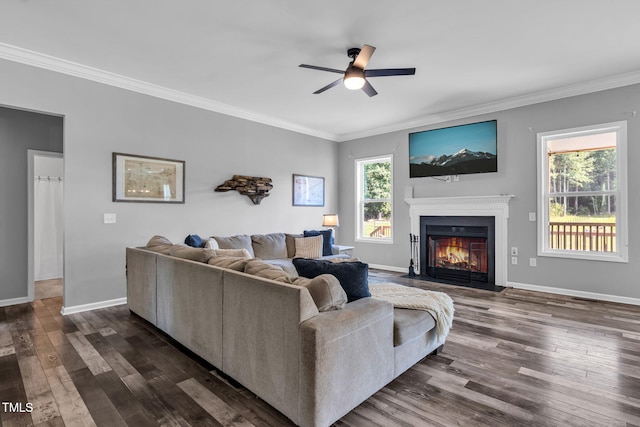 80 Shartree Farms Ln, Louisburg, NC 27549 - living room with a ceiling fan, crown molding, dark wood-style flooring, and a fireplace with flush hearth