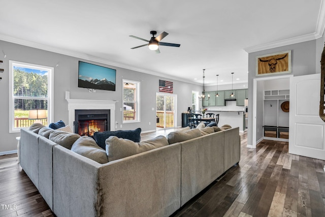 80 Shartree Farms Ln, Louisburg, NC 27549 - living room with a ceiling fan, plenty of natural light, a glass covered fireplace, dark wood-type flooring, and ornamental molding