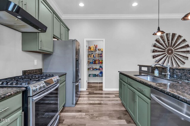 80 Shartree Farms Ln, Louisburg, NC 27549 - kitchen featuring under cabinet range hood, green cabinets, appliances with stainless steel finishes, ornamental molding, and light wood-style floors