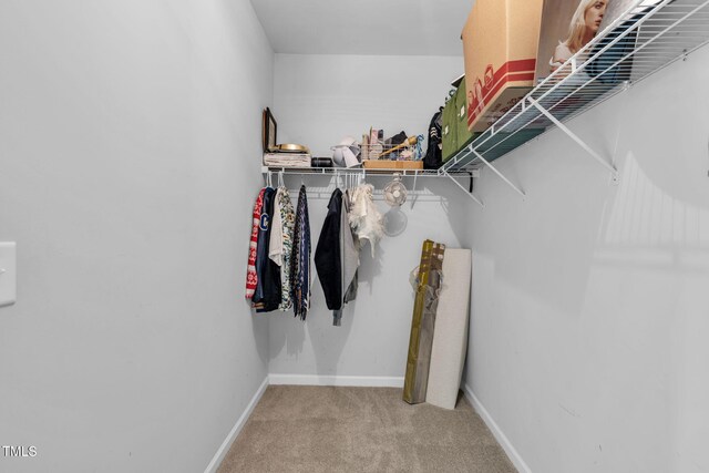 80 Shartree Farms Ln, Louisburg, NC 27549 - spacious closet with carpet flooring