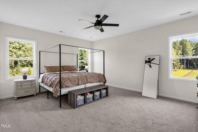80 Shartree Farms Ln, Louisburg, NC 27549 - carpeted bedroom featuring multiple windows and a ceiling fan