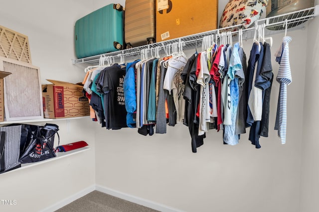 80 Shartree Farms Ln, Louisburg, NC 27549 - walk in closet with carpet floors