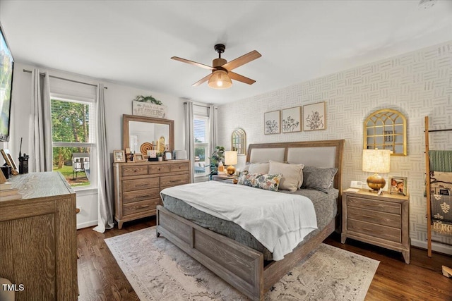 817 Mossy Oak Dr, Fuquay Varina, NC 27526 - bedroom featuring wallpapered walls, multiple windows, a ceiling fan, and dark wood-style floors