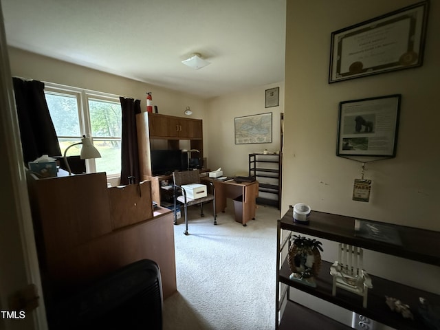 535 Hillcrest Dr, Garner, NC 27529 - view of carpeted home office