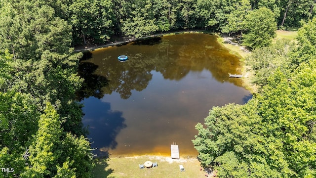 1355 Sykes Rd, Spring Hope, NC 27882 - bird's eye view of a nearby body of water and a forest