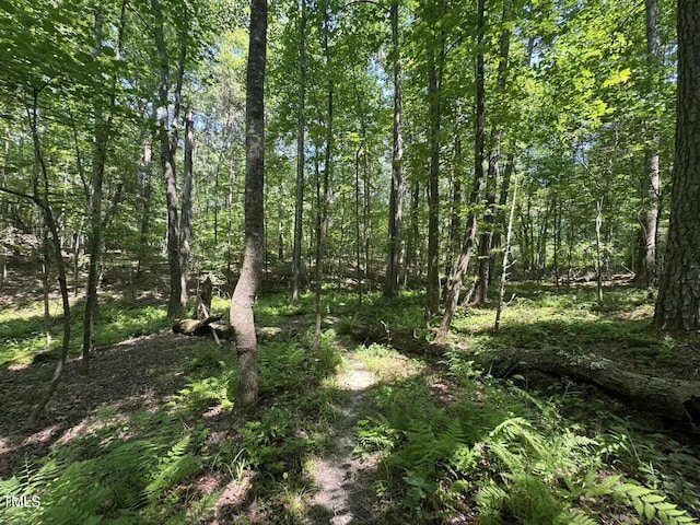 1355 Sykes Rd, Spring Hope, NC 27882 - view of tree filled area