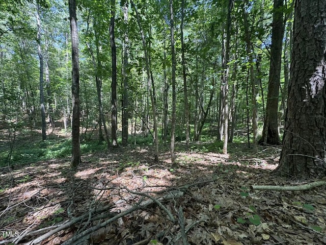 1355 Sykes Rd, Spring Hope, NC 27882 - view of wooded area