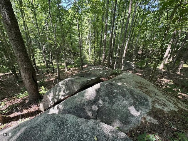 1355 Sykes Rd, Spring Hope, NC 27882 - view of wooded area