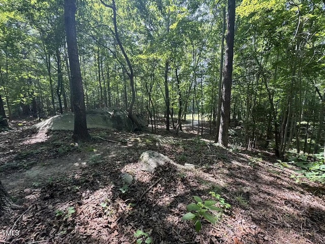 1355 Sykes Rd, Spring Hope, NC 27882 - view of woods