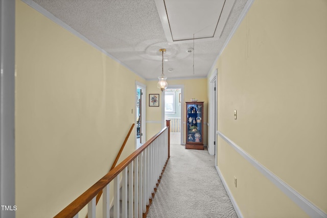 2000 Glissom St, Tarboro, NC 27886 - hall featuring attic access, a textured ceiling, light carpet, and an upstairs landing