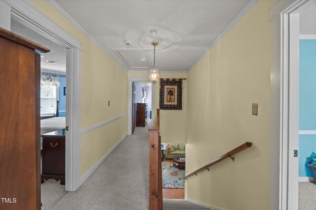 2000 Glissom St, Tarboro, NC 27886 - hallway featuring attic access, carpet floors, a textured ceiling, and crown molding