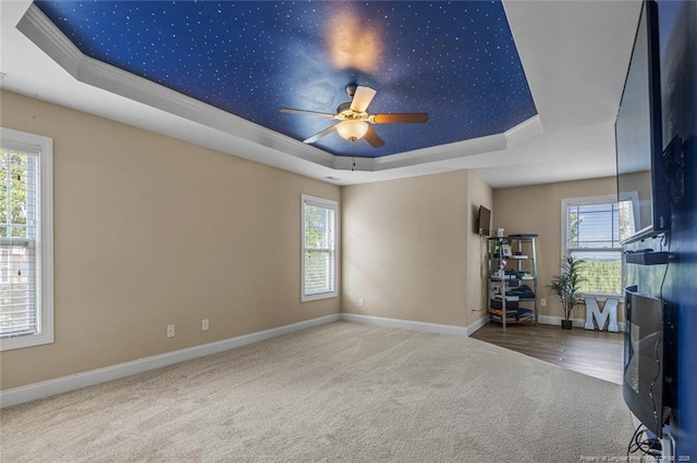 416 Kentucky Derby Ln, Lillington, NC 27546 - spare room with a tray ceiling, carpet flooring, baseboards, healthy amount of natural light, and ornamental molding