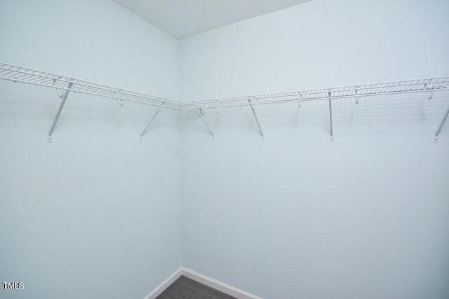 321 Westgrove Ct, Durham, NC 27703 - walk in closet with dark colored carpet