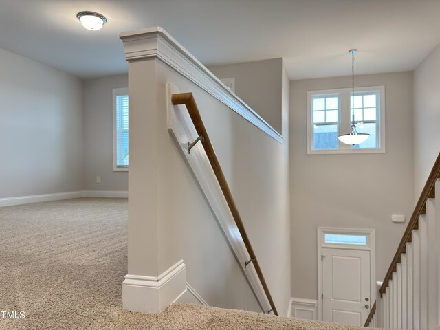 13 Knotty Pine Ln, Clayton, NC 27520 - photo 29