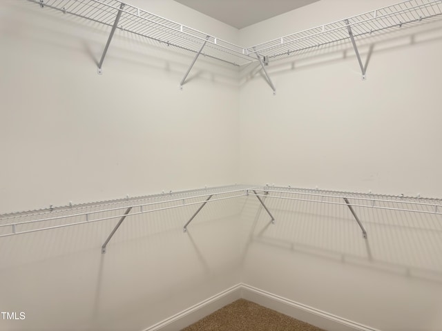 13 Knotty Pine Ln, Clayton, NC 27520 - photo 46