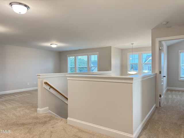13 Knotty Pine Ln, Clayton, NC 27520 - photo 33