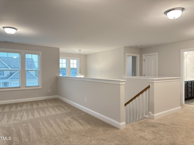 13 Knotty Pine Ln, Clayton, NC 27520 - photo 34