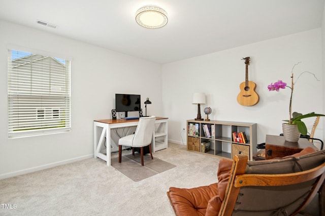 137 Azalea View Way, Holly Springs, NC 27540 - carpeted office space with plenty of natural light