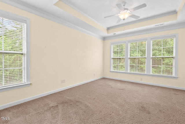 108 Teagan Ct, Chapel Hill, NC 27516 - unfurnished room with a tray ceiling, ornamental molding, healthy amount of natural light, and carpet floors