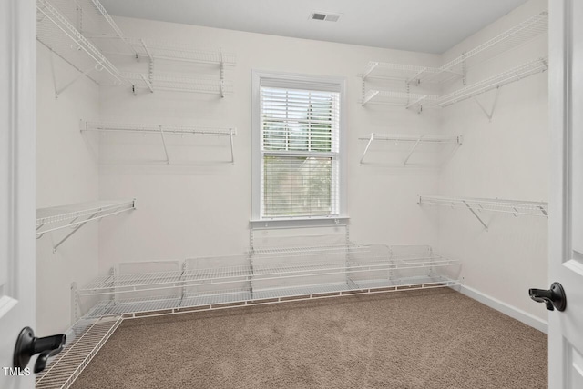 108 Teagan Ct, Chapel Hill, NC 27516 - spacious closet featuring carpet floors