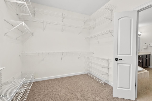 108 Teagan Ct, Chapel Hill, NC 27516 - walk in closet with light carpet