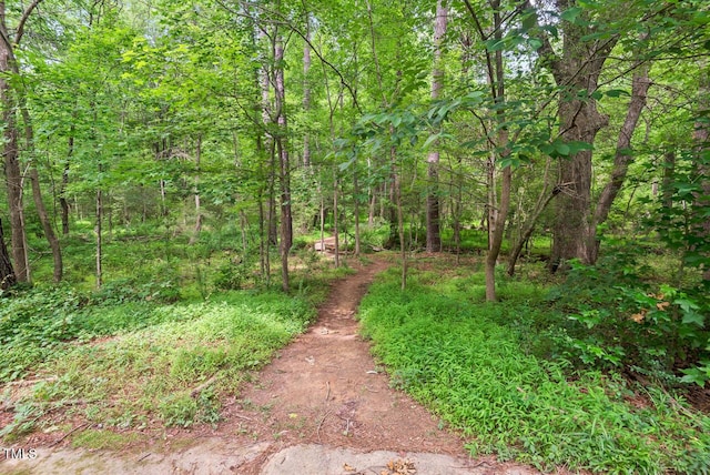108 Teagan Ct, Chapel Hill, NC 27516 - view of woods
