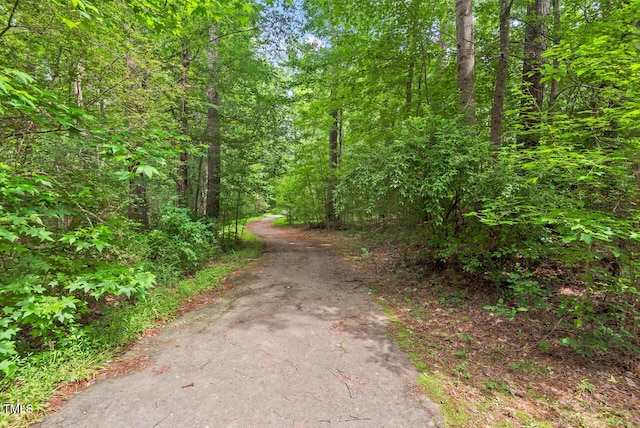 108 Teagan Ct, Chapel Hill, NC 27516 - view of road with a view of trees