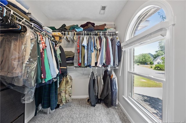 3517 Gables Dr, Fayetteville, NC 28311 - spacious closet with carpet
