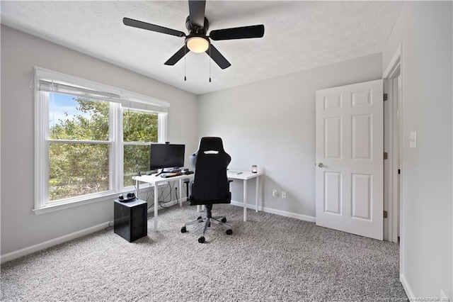 3517 Gables Dr, Fayetteville, NC 28311 - office space featuring baseboards, carpet flooring, ceiling fan, and a textured ceiling