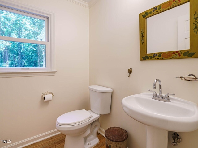 10101 Daviton Ct, Raleigh, NC 27615 - photo 15