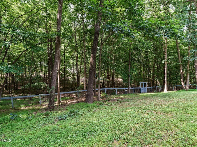 10101 Daviton Ct, Raleigh, NC 27615 - photo 44