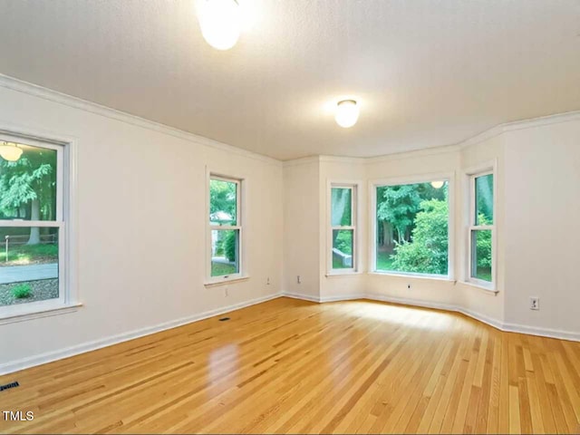 10101 Daviton Ct, Raleigh, NC 27615 - photo 5