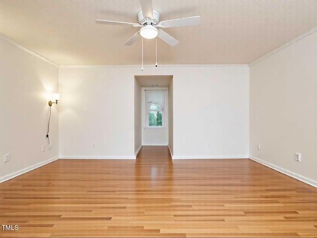 10101 Daviton Ct, Raleigh, NC 27615 - photo 22