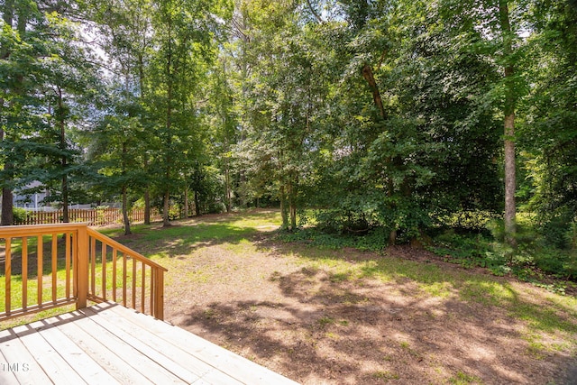 293 Carolina Oaks Ave, Smithfield, NC 27577 - photo 42