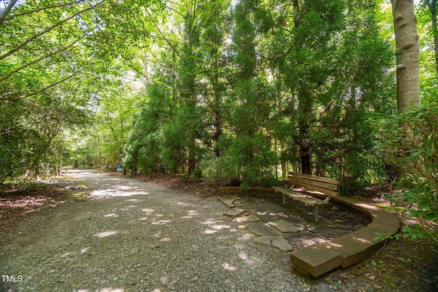 293 Carolina Oaks Ave, Smithfield, NC 27577 - photo 47