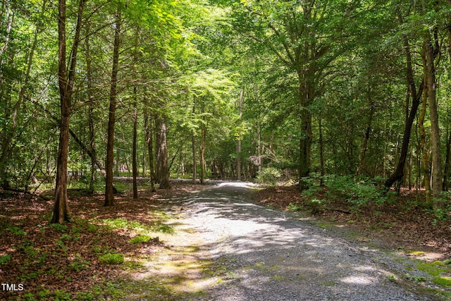 293 Carolina Oaks Ave, Smithfield, NC 27577 - photo 48