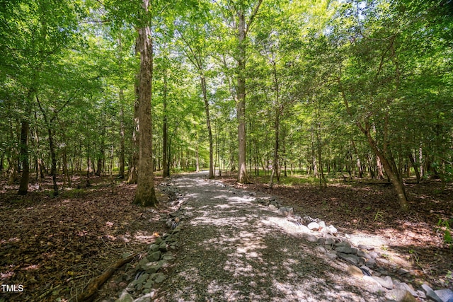 293 Carolina Oaks Ave, Smithfield, NC 27577 - photo 49