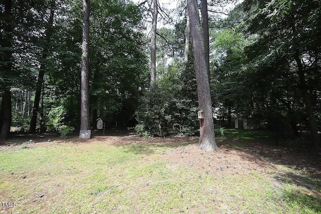 6717 Valley Dr, Raleigh, NC 27612 - view of green lawn