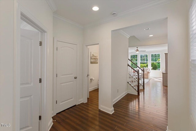 531 Finnbar Dr, Cary, NC 27519 - hallway with dark wood-type flooring, ornamental molding, and recessed lighting