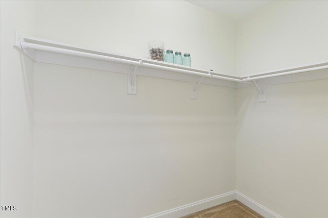 531 Finnbar Dr, Cary, NC 27519 - walk in closet with carpet floors