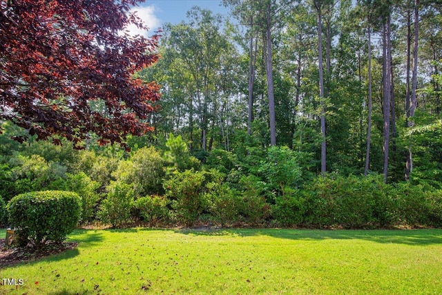 531 Finnbar Dr, Cary, NC 27519 - view of green lawn
