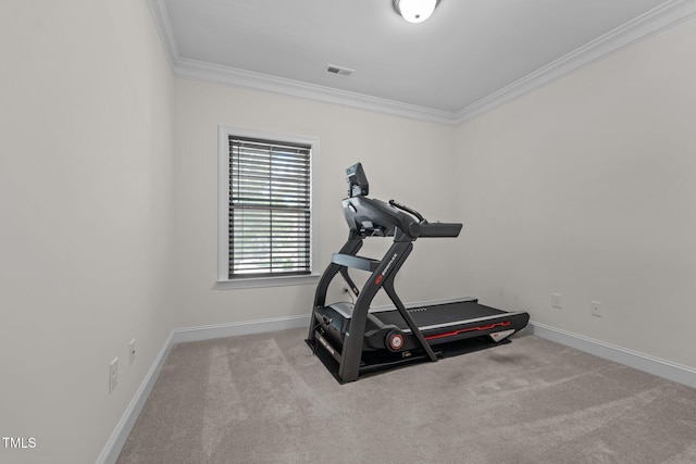 801 Socata Ln, Mebane, NC 27302 - workout room featuring crown molding and carpet