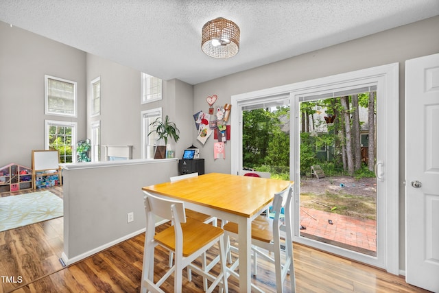 304 Gold Point Dr, Cary, NC 27519 - dining space with plenty of natural light, wood finished floors, and a textured ceiling