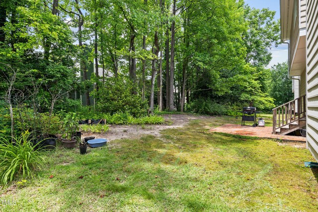 304 Gold Point Dr, Cary, NC 27519 - view of green lawn with stairs