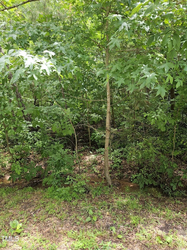 3521 Esther Dr, Durham, NC 27703