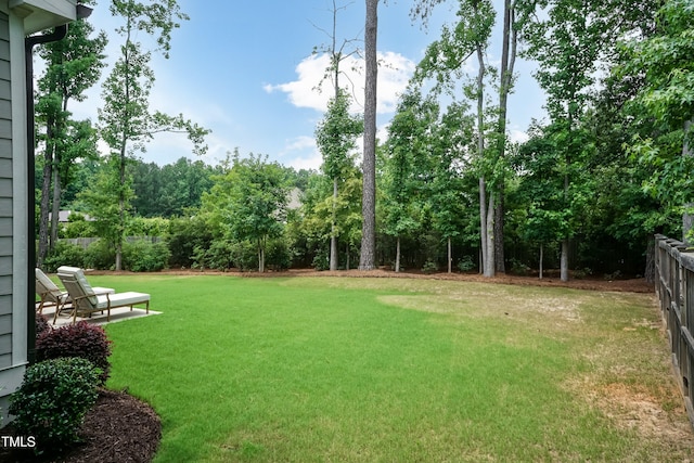 4104 Green Chase Way, Apex, NC 27539 - view of yard